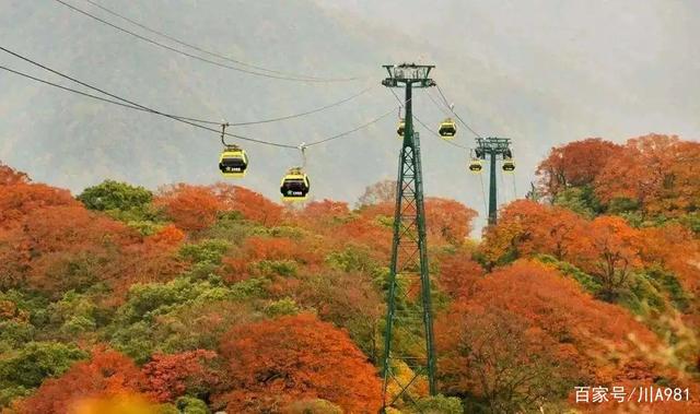 贵州5.jpeg 贵州5.jpeg