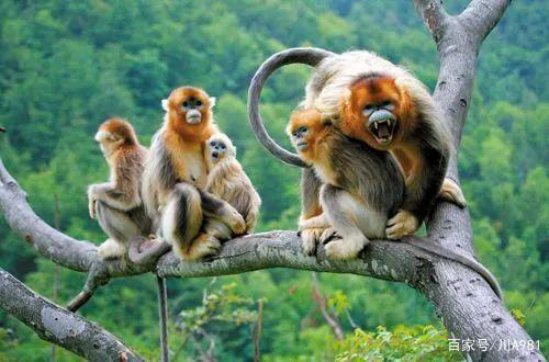 贵州7.jpeg 贵州7.jpeg