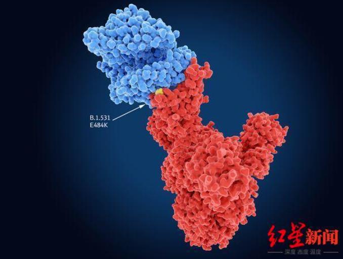 Omicron如何被发现的 Omicron如何被发现的