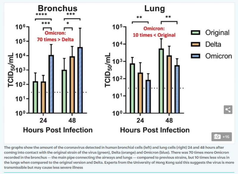 美国发布Omicron最严重警告:每周将死1.56万人 美国发布Omicron最严重警告:每周将死1.56万人