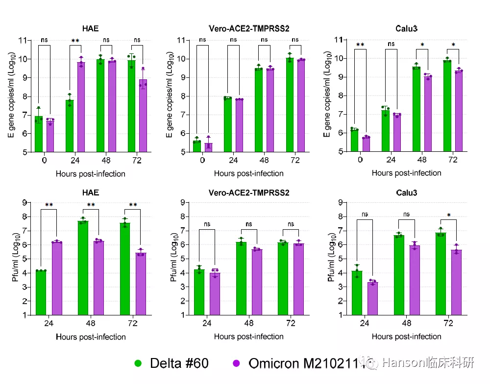 Omicron除了易感人ACE2受体细胞 Omicron除了易感人ACE2受体细胞