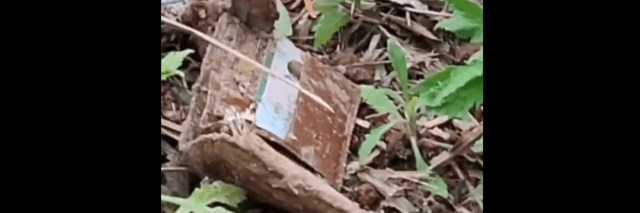 坠机搜救现场发现车票、现金、手机残渣、身份证、钱包 坠机搜救现场发现车票、现金、手机残渣、身份证、钱包